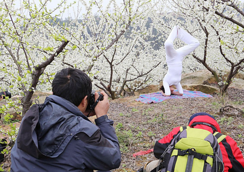 A project to make money by taking pictures on Douyin | qqole world, wwb9 slot, daftar slot langsung 